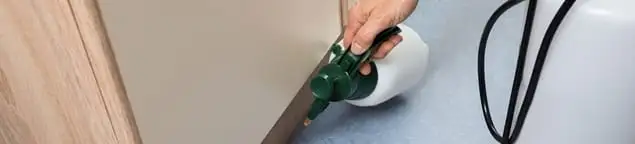 Bed bug exterminator treating baseboards and cracks with targeted spray in Sarasota, FL