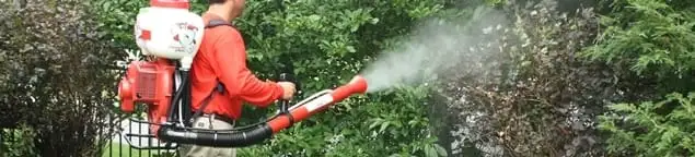 Mosquito control technician fogging shrubs and landscaping for mosquito treatment in Sarasota, FL