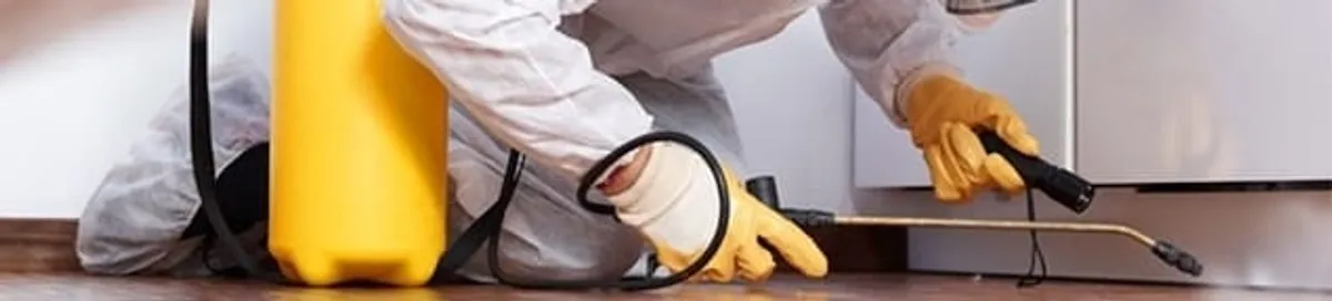Roach exterminator treating cracks and crevices along kitchen baseboards in Sarasota, FL