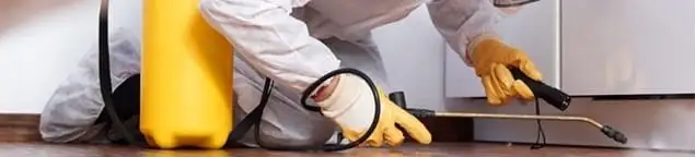 Roach exterminator treating cracks and crevices along kitchen baseboards in Sarasota, FL