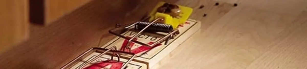 Rodent trap set indoors for rodent control and prevention in Sarasota, FL