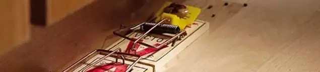 Rodent trap set indoors for rodent control and prevention in Sarasota, FL