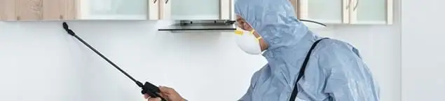 Termite treatment technician applying indoor pest control spray in Sarasota, FL